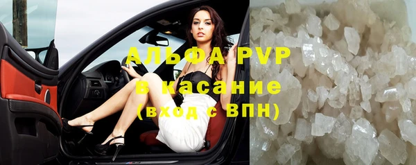 прущие грибы Арсеньев