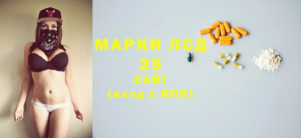 прущие грибы Арсеньев