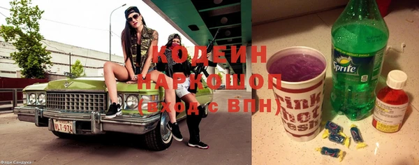 прущие грибы Арсеньев