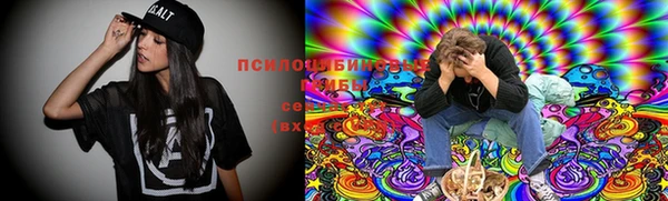 прущие грибы Арсеньев