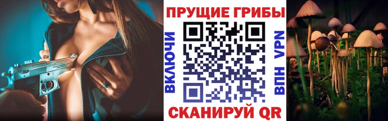 Галлюциногенные грибы прущие грибы  Чебоксары 